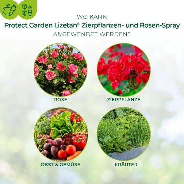 PROTECT GARDEN Lizetan® Zierpflanzen- & Rosen-Spray AF - 500 ml