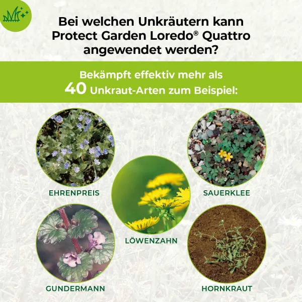 PROTECT GARDEN Loredo® Quattro Universal-Rasenunkrautfrei 100 ml für 100 m²