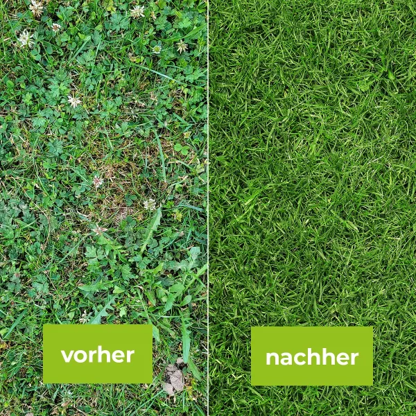 PROTECT GARDEN Loredo® Quattro Universal-Rasenunkrautfrei 400 ml für 400 m²