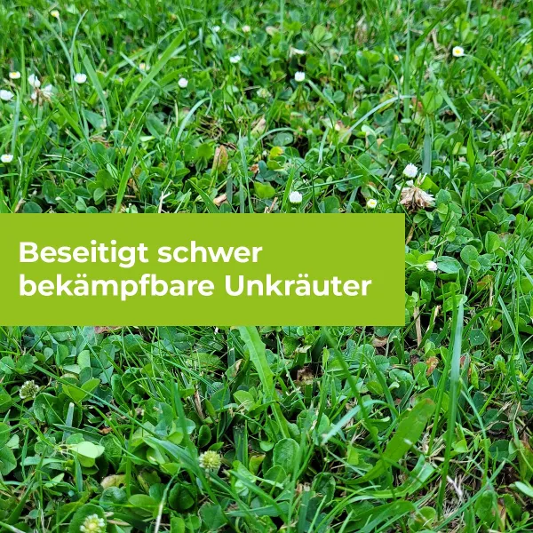 PROTECT GARDEN Loredo® Quattro Universal-Rasenunkrautfrei 400 ml für 400 m²