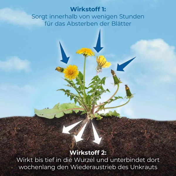 PROTECT GARDEN Permaclean Duo Unkaut & Wurzel-Ex 1.000 ml x 3
