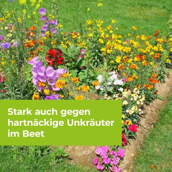 PROTECT GARDEN Permaclean Duo Unkaut & Wurzel-Ex 500 ml x 5