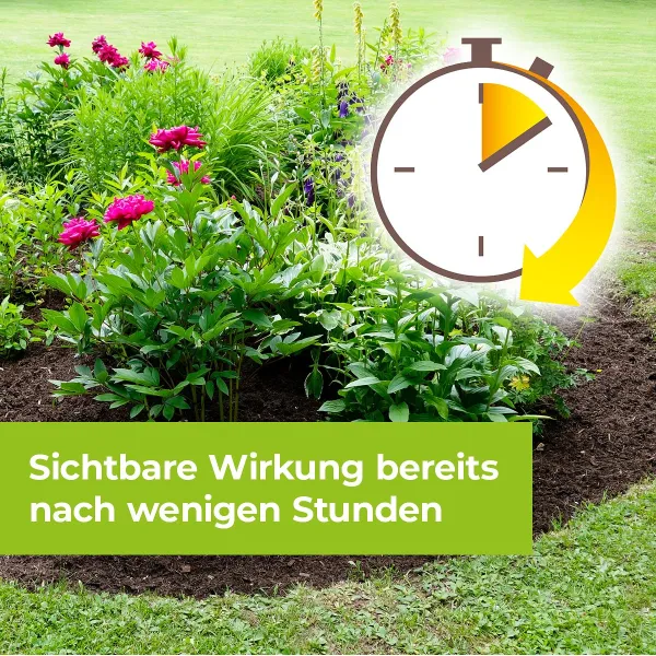 PROTECT GARDEN Permaclean Express Unkrautfrei AF 2,5 Liter