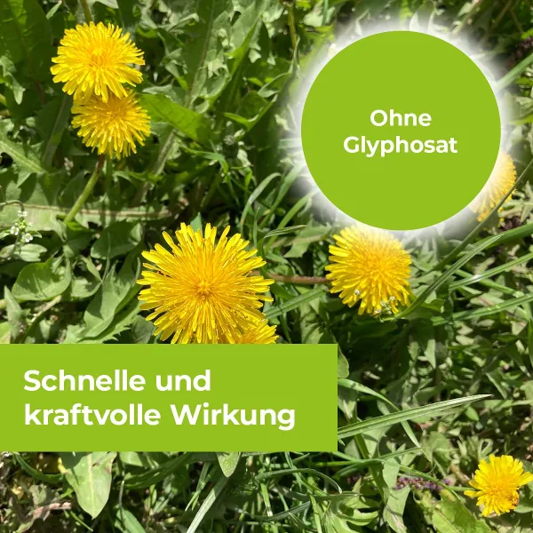 PROTECT GARDEN Permaclean Express Unkrautfrei AF 5 Liter