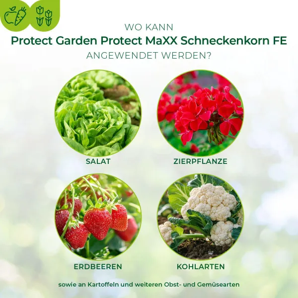 PROTECT GARDEN Protect MaXX Schneckenkorn FE für 315 m² - 1,2 kg