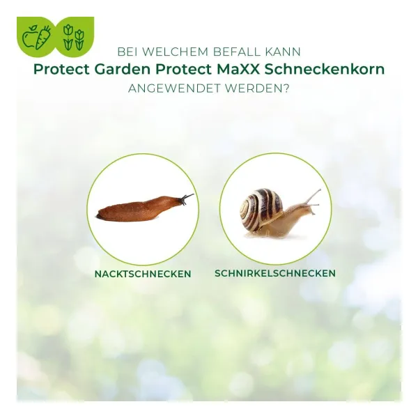 PROTECT GARDEN Protect MaXX Schneckenkorn für bis zu 2.000 m² - 4 x 250 g