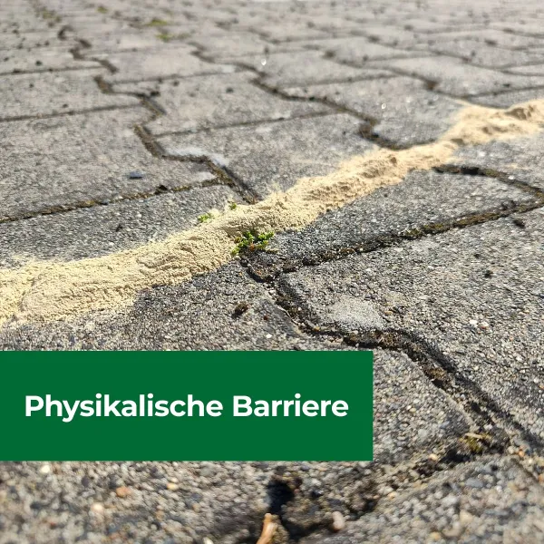 PROTECT HOME Ameisen- & Milbenblocker 200 g