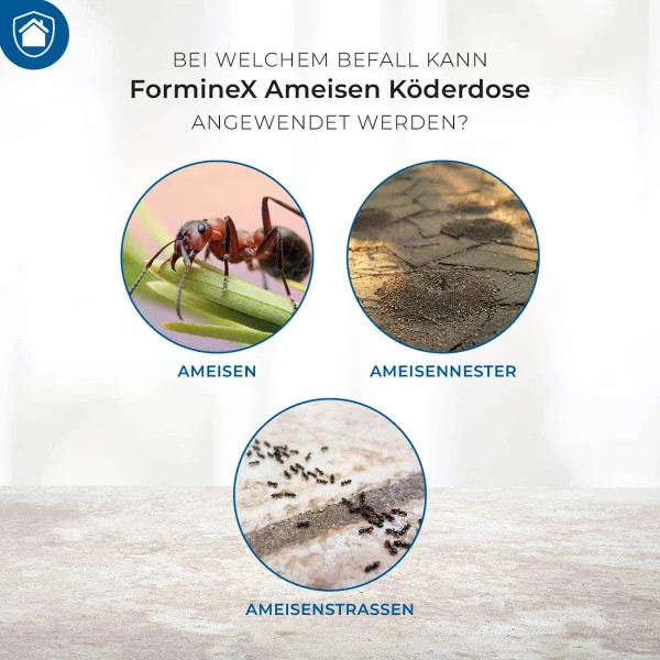 PROTECT HOME FormineX Ameisen Köderdosen - 2 Köderdosen