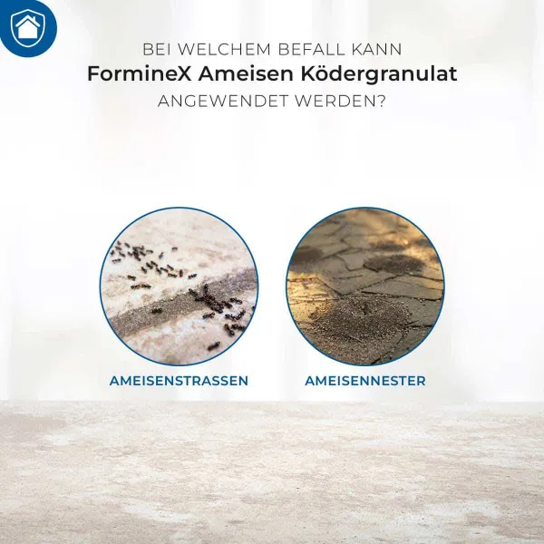 PROTECT HOME FormineX Ameisen Ködergranulat 600 g