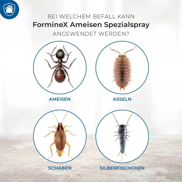 PROTECT HOME FormineX Ameisen Spezialspray anwendungsfertig - 500 ml