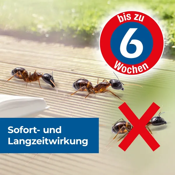 PROTECT HOME FormineX Ameisen Spezialspray anwendungsfertig - 500 ml