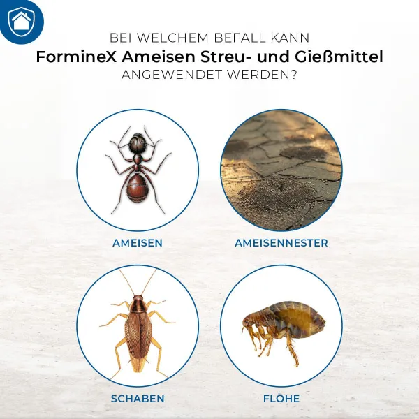 PROTECT HOME FormineX Ameisen Streu- und Gießmittel für 62,5 m² - 500 g