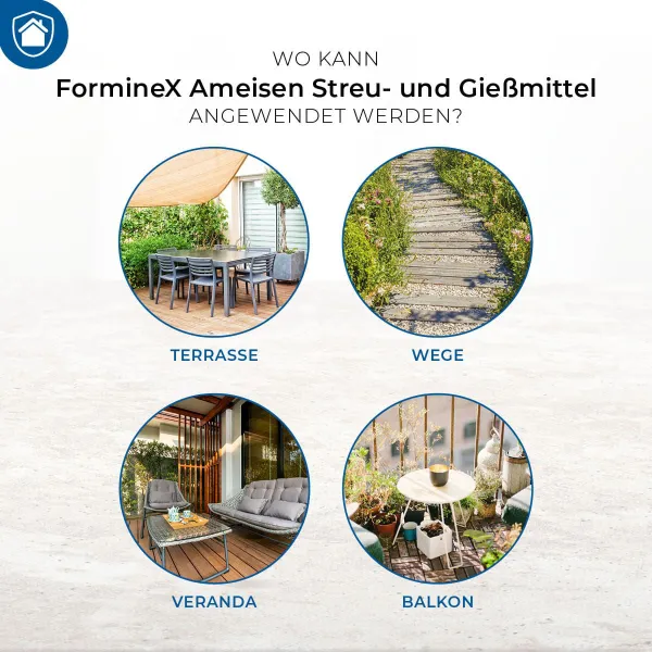 PROTECT HOME FormineX Ameisen Streu- und Gießmittel für 62,5 m² - 500 g