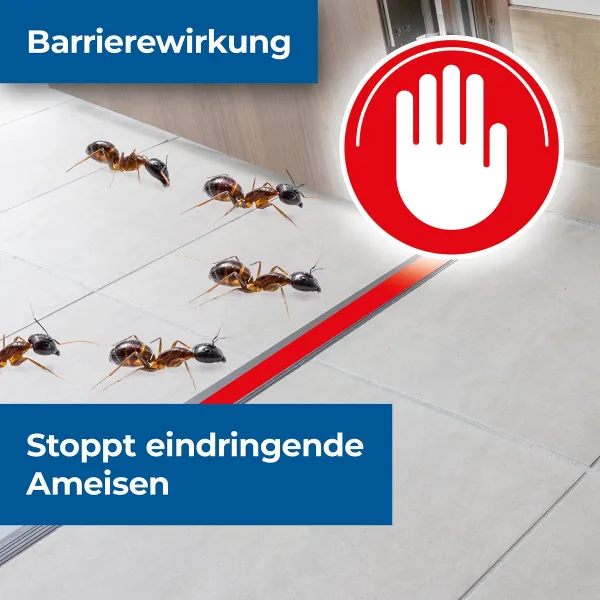 PROTECT HOME FormineX Ameisenspray - 400 ml