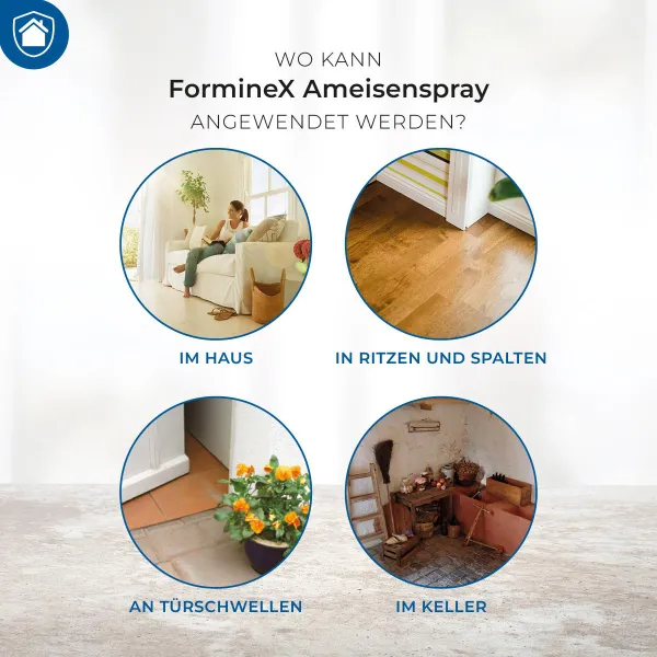 PROTECT HOME FormineX Ameisenspray - 400 ml x 2