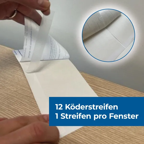 PROTECT HOME FormineX Fliegenköder Fensterstreifen - 12 Stück