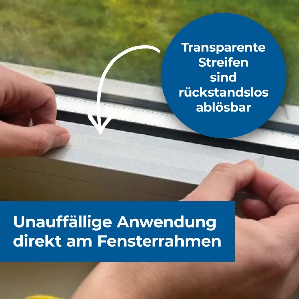 PROTECT HOME FormineX Fliegenköder Fensterstreifen - 12 Stück
