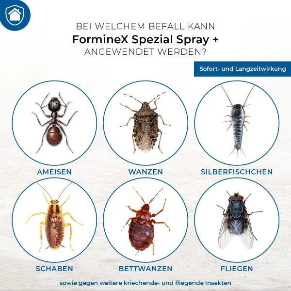 PROTECT HOME FormineX Spezialspray + anwendungsfertig - 400 ml x 12