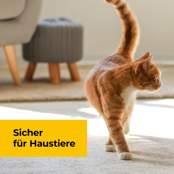 PROTECT HOME Mausefallen Easy Catch 2er Set