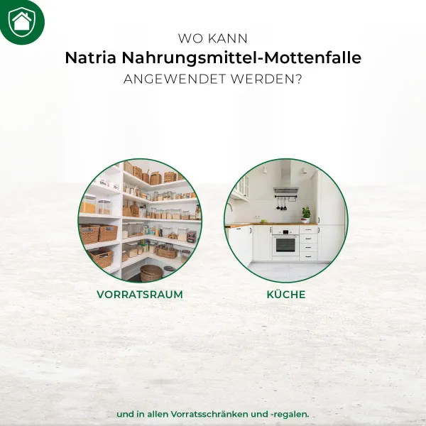 PROTECT HOME Nahrungsmittel-Mottenfalle - 3 Klebefallen