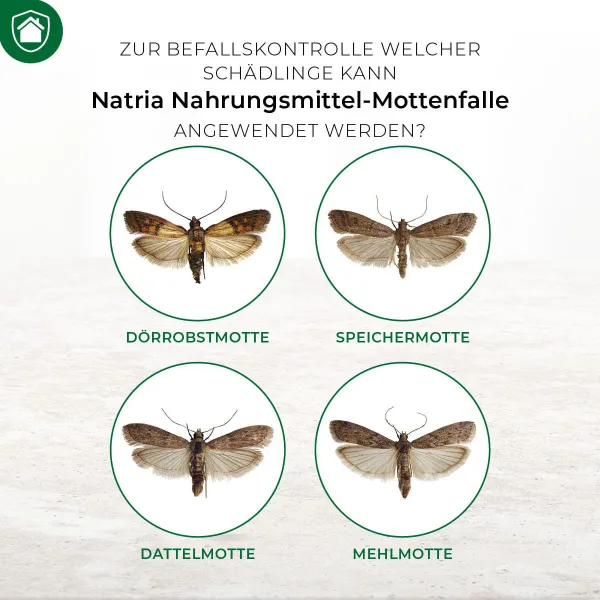 PROTECT HOME Nahrungsmittel-Mottenfalle - 3 Klebefallen