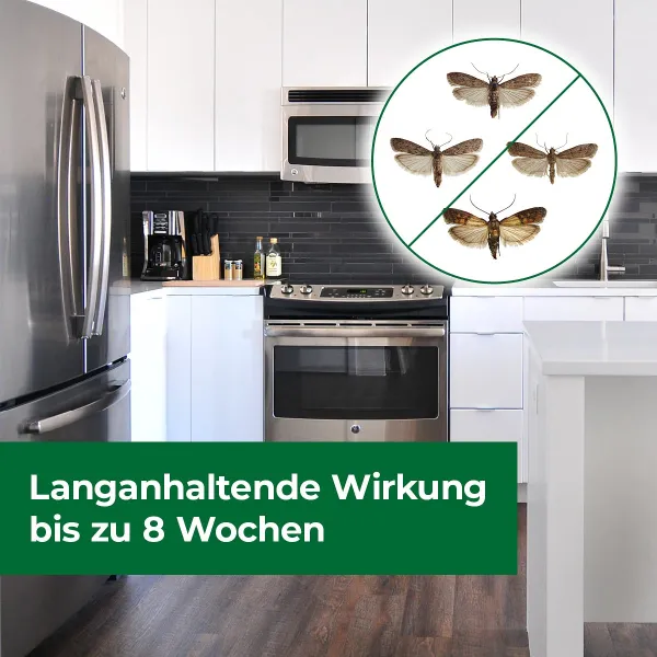 PROTECT HOME Nahrungsmittel-Mottenfalle - 3 Klebefallen