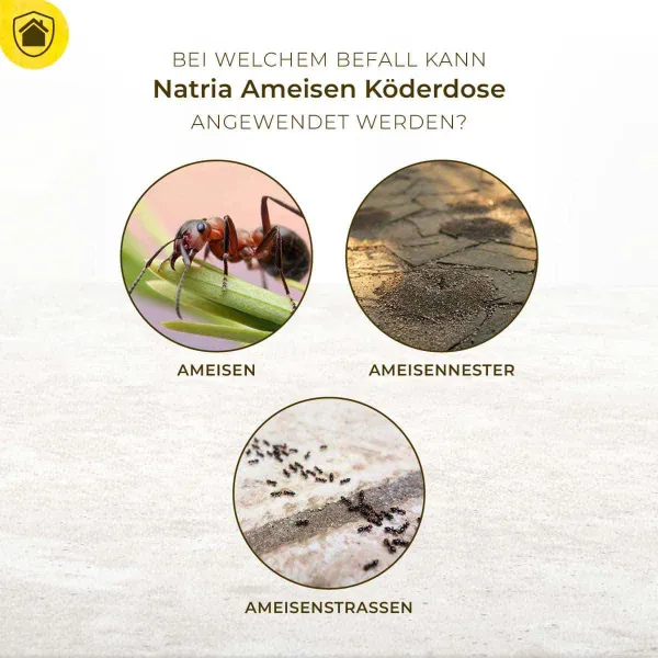 Protect Home Natria Ameisen Köderdose 2 St.