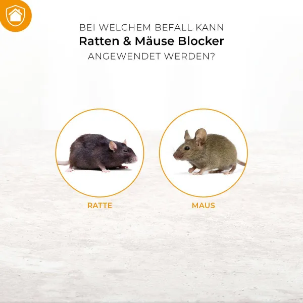 PROTECT HOME Ratten- & Mäuseblocker 300 g