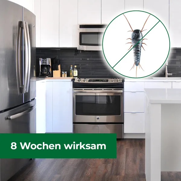 PROTECT HOME Silberfischchen-Falle - 2 Klebefallen
