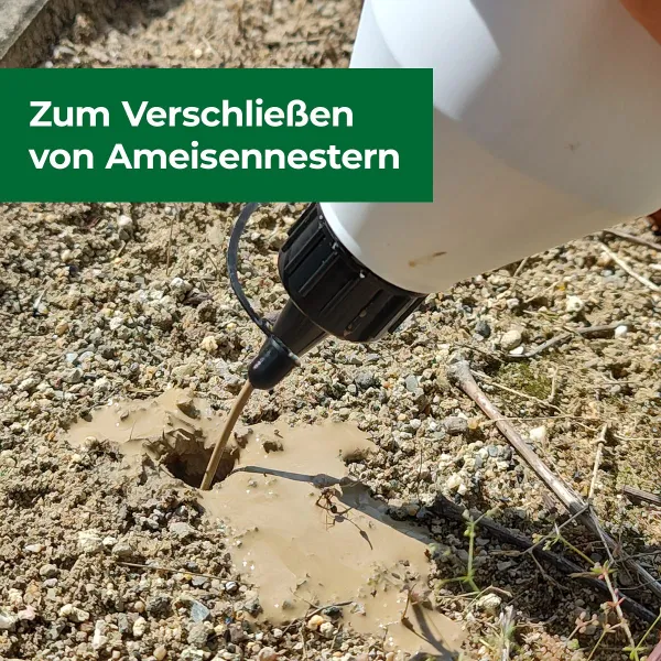 PROTECT HOME Soilic® Ameisen Nestverschluss - 750 ml