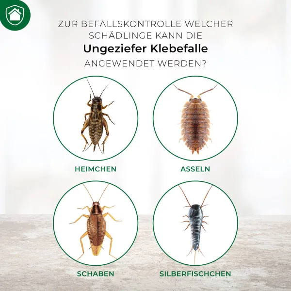 PROTECT HOME Ungeziefer Klebefalle - 4 Fallen