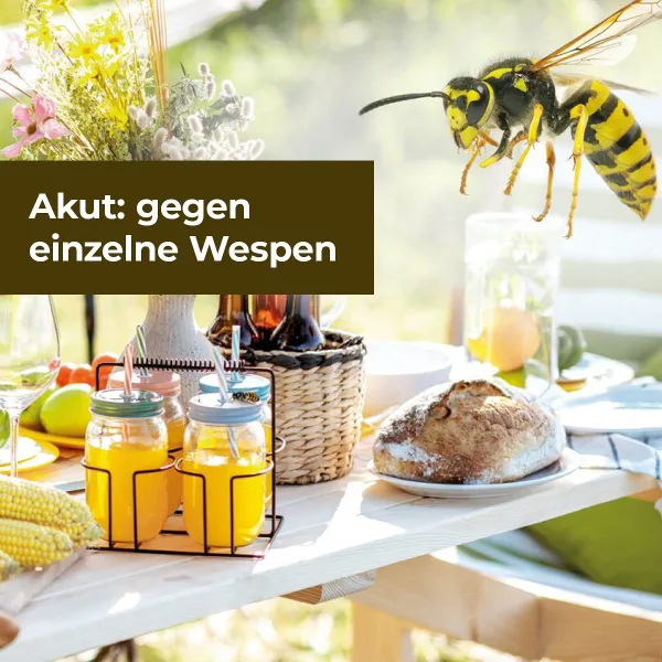 PROTECT HOME Wespen Akut Spray 3-in-1 400 ml