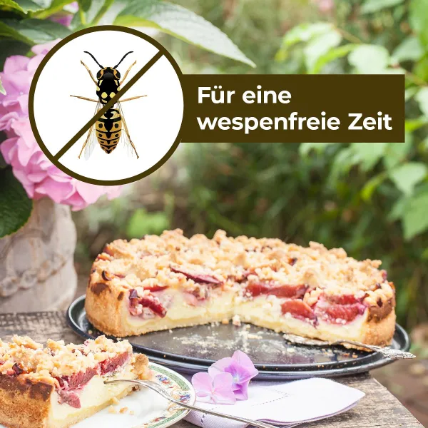 PROTECT HOME Wespen Akut Spray 3-in-1 400 ml
