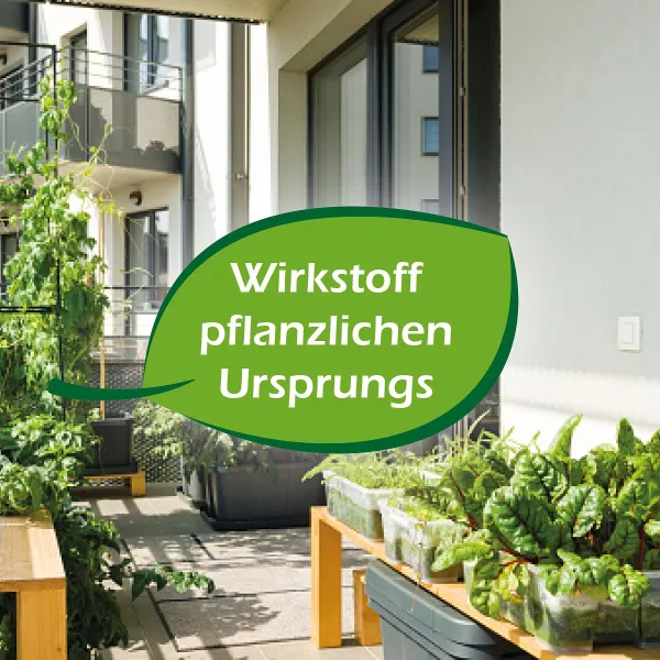 PROTECT HOME Wespennest Blocker 400 ml