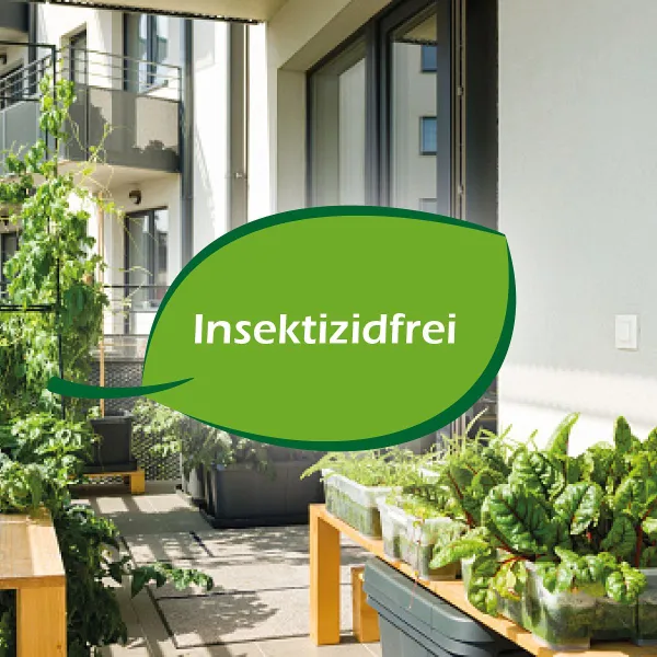 PROTECT HOME Wespennest Kleber - 500 ml