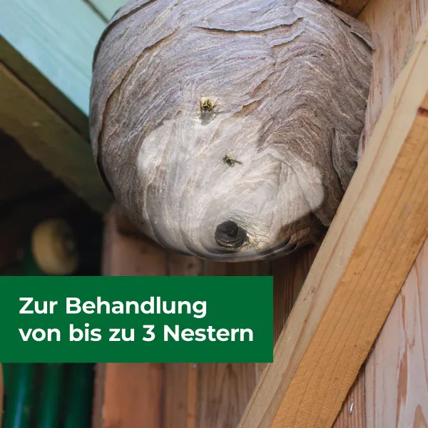 PROTECT HOME Wespennest Kleber - 500 ml