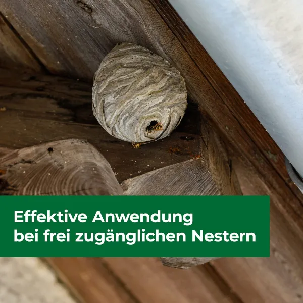 PROTECT HOME Wespennest Kleber - 500 ml