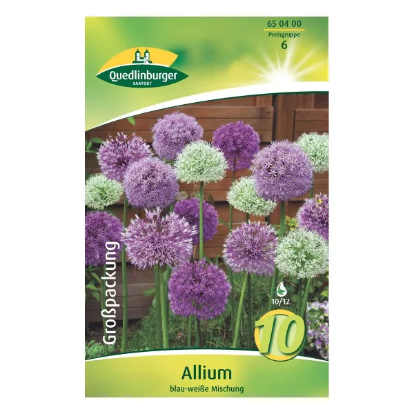 Quedlinburger Allium Blumenzwiebeln, Blau/Weiß-Mischung, Großpackung 10 Stück