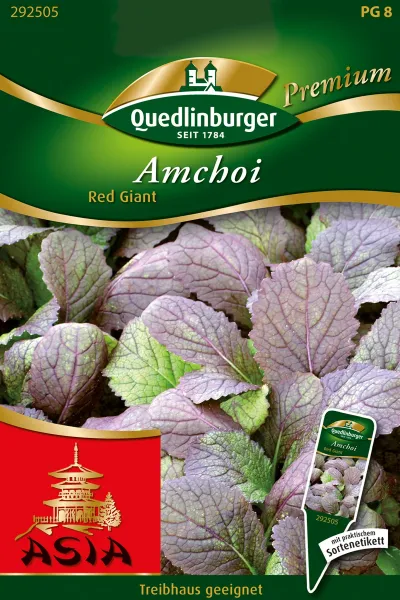Quedlinburger Blattgemüse Amchoi Red Giant - Gemüsesamen