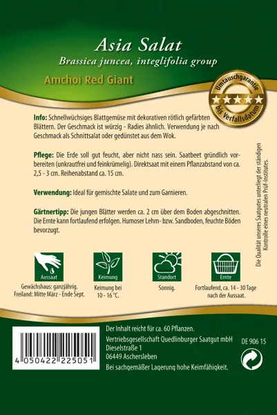 Quedlinburger Blattgemüse Amchoi Red Giant - Gemüsesamen