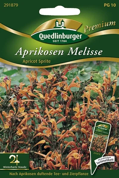 Quedlinburger Aprikosen Melisse Apricot Sprite - Premium Blumensamen