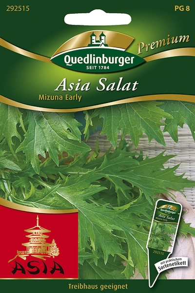 Quedlinburger Asia Salat Mizuna Early - Premium Gemüsesamen