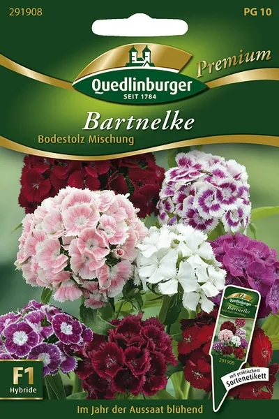 Quedlinburger Bartnelke Bodestolz Mischung - Blumensamen