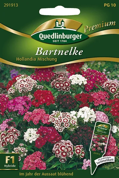 Quedlinburger Bartnelke Hollandia Mischung F1 - Hybride - Blumensamen Quedlinburger Bartnelke Hollandia Mischung F1 - Hybride - Blumensamen