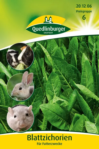 Quedlinburger Blattzichorien für Futterzwecke - Gemüsesamen Quedlinburger Blattzichorien für Futterzwecke - Gemüsesamen