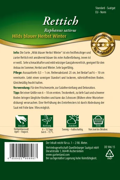 Quedlinburger Blauer Rettich - Gemüsesamen