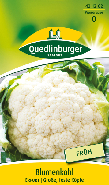 Quedlinburger Blumenkohl Erfurt  - Gemüsesamen