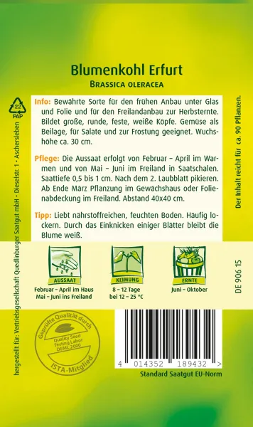 Quedlinburger Blumenkohl Erfurt - Gemüsesamen