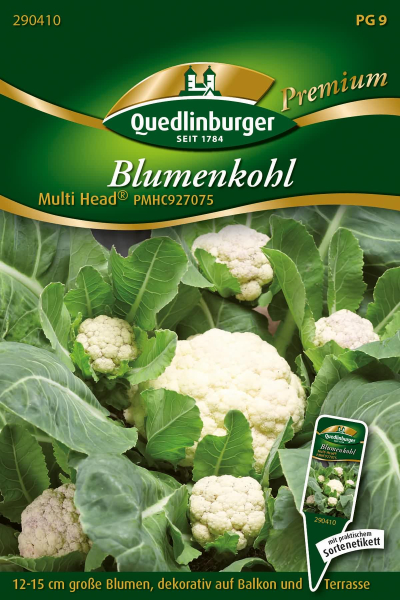 Quedlinburger Blumenkohl Multi Head® PMHC927075 - Gemüsesamen