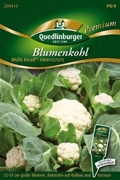 Quedlinburger Blumenkohl Multi Head® PMHC927075 - Gemüsesamen